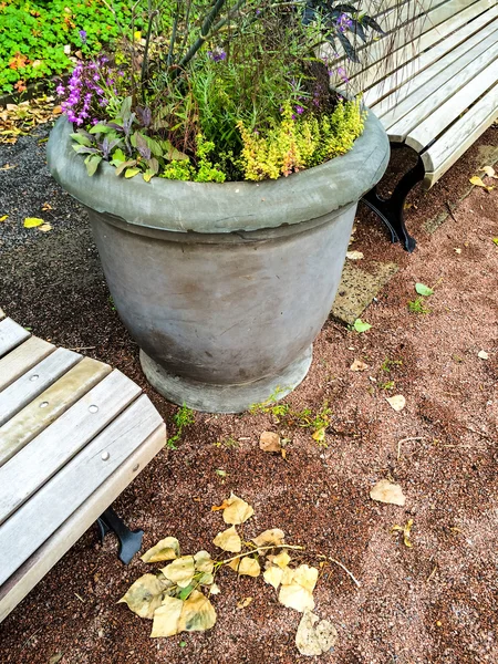 Vase mit Pflanzen und Blumen im herbstlichen Garten — Stockfoto