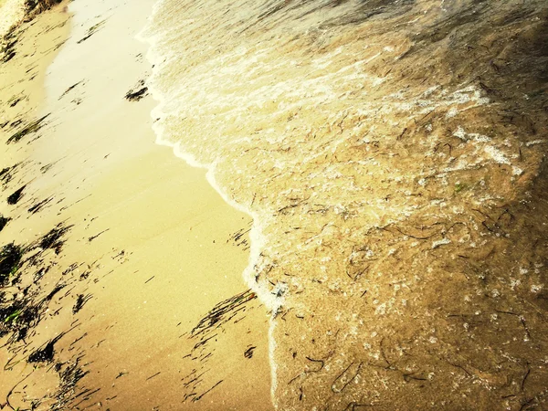 Kumsal ve deniz dalgaları — Stok fotoğraf
