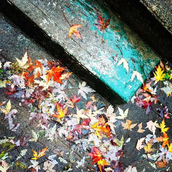 Hojas de otoño en antiguos escalones de piedra —  Fotos de Stock