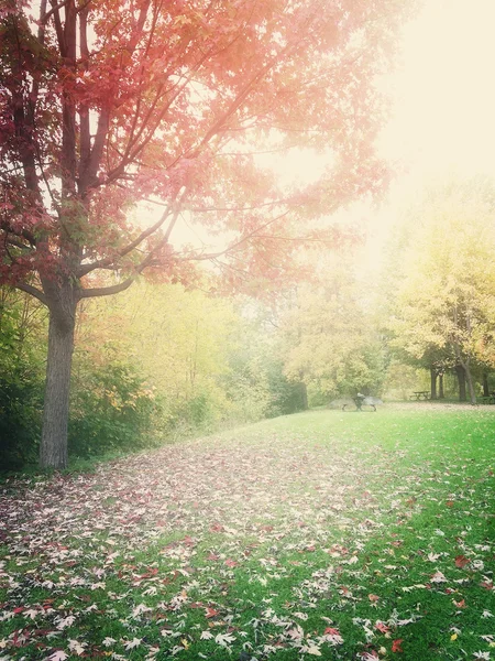 Dunstige Herbstlandschaft — Stockfoto