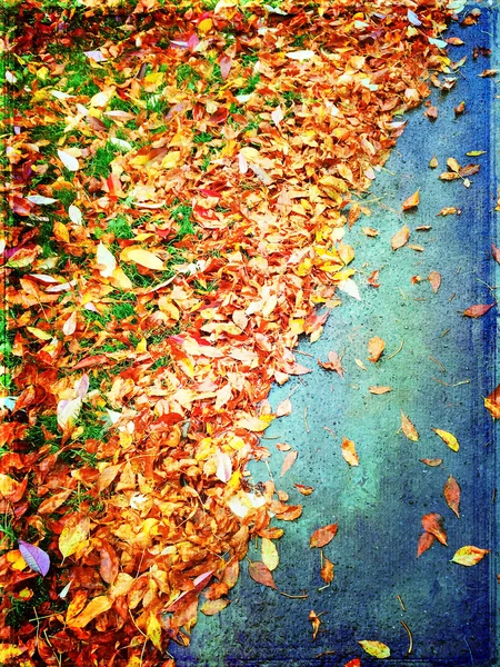 Feuilles d'automne colorées fond — Photo