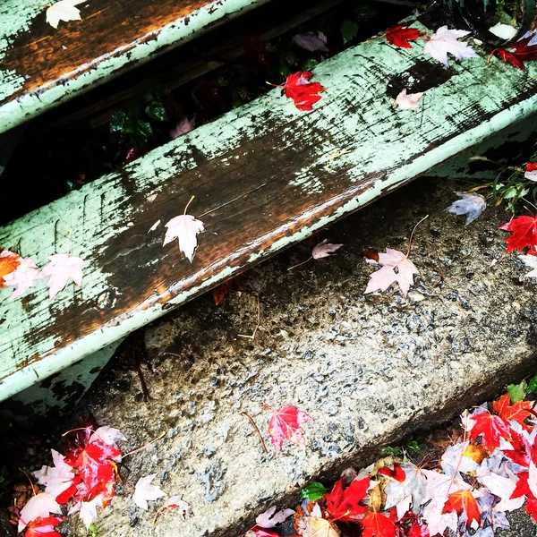 Autumn leaves on old staircase — Stock Photo, Image