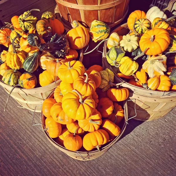Baskets with pumpkins and gourds at the market — Stock Photo, Image