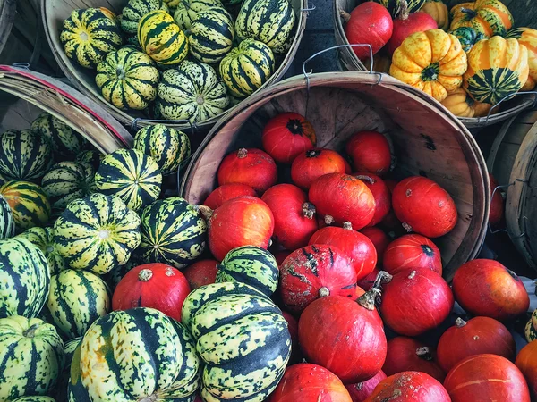 Mängd olika färgglada squash på marknaden — Stockfoto