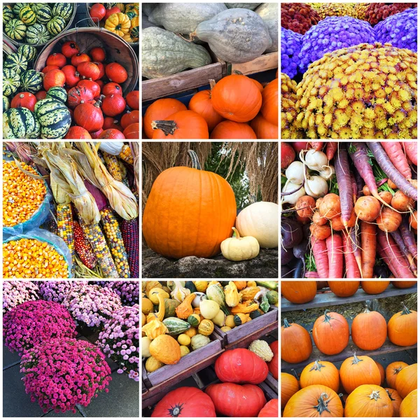 Collage del mercato autunnale — Foto Stock