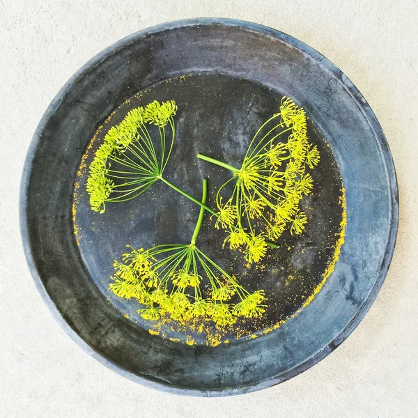 Свежие цветы укропа в металлической тарелке — стоковое фото
