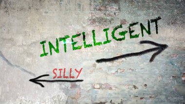 Sokak İmza Akıllı ve Silly için Yön Yolu