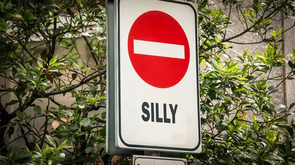 Street Sign Direction Way Intelligent Silly — Stock Photo, Image