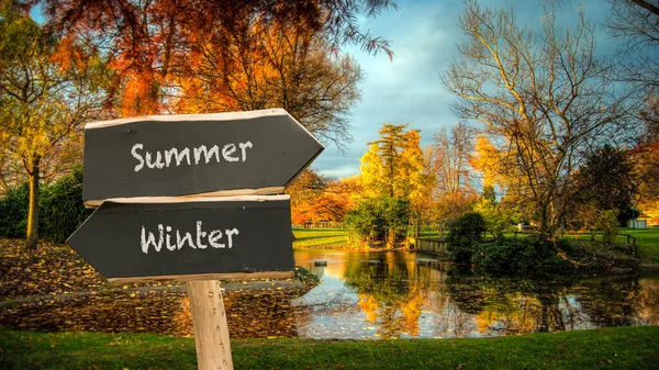 Street Sign Direction Way Summer Winter — Stock Photo, Image