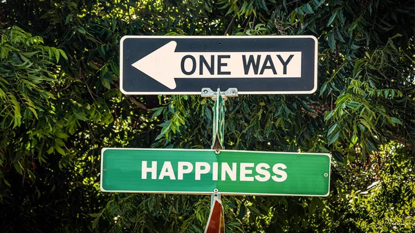 Rua Assine Caminho Direção Para Felicidade — Fotografia de Stock