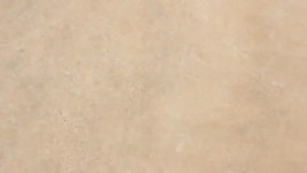  Vagues de l'océan sur la plage