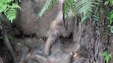 Yaz aylarında şelale