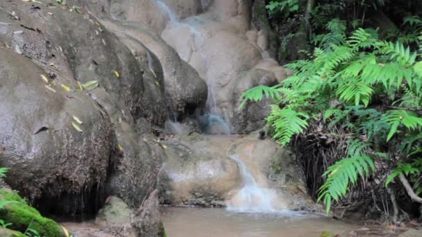 Waterval in de zomer — Stockvideo