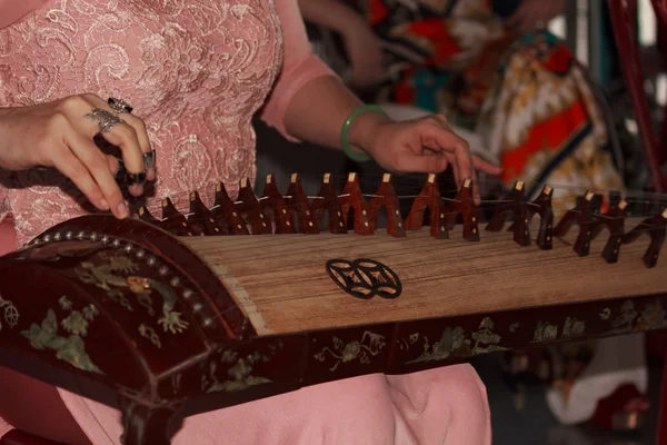伝統的な楽器を演奏するミュージシャン — ストック写真