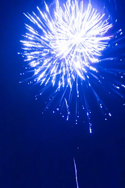 Fuochi artificiali — Foto Stock