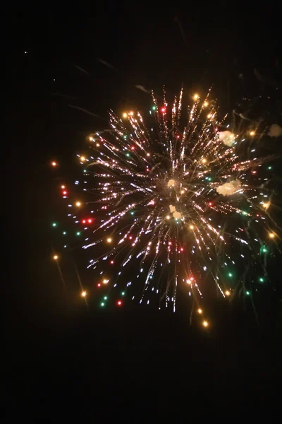 Fogos de artifício no céu noturno — Fotografia de Stock