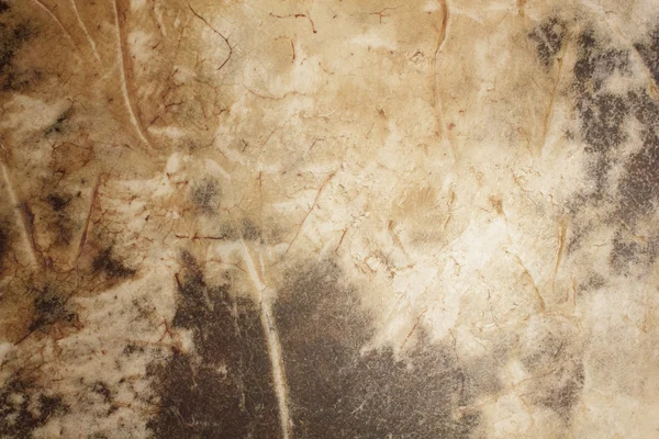 Davul yapmak için hayvan derileri