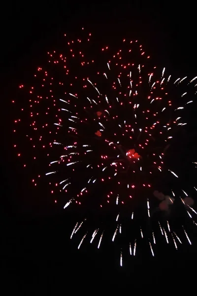 Fuochi artificiali — Foto Stock