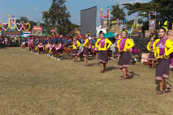 Mahasarakham, Tayland - 20 Aralık: 20,2013 içinde Mahasarakham, Tayland Aralık'ta Tayland geleneğinde geçit töreni