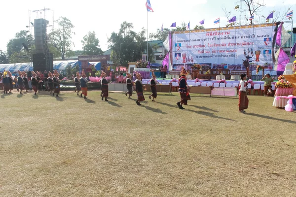 Mahasarakham, Tayland - 20 Aralık: 20,2013 içinde Mahasarakham, Tayland Aralık'ta Tayland geleneğinde geçit töreni
