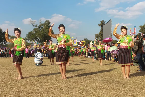 MAHASARAKHAM,THAILAND - DECEMBER 20 : Parade in tradition of Thailand on December 20,2013 in Mahasarakham,Thailand — Stock Photo, Image