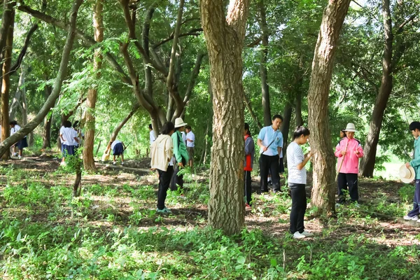 MAHASARAKHAM, TAILANDIA - 19 DE SEPTIEMBRE: Maestros y estudiantes juntos para limpiar el parque el 19 de septiembre de 2014 en Mahasarakham, Tailandia — Foto de Stock