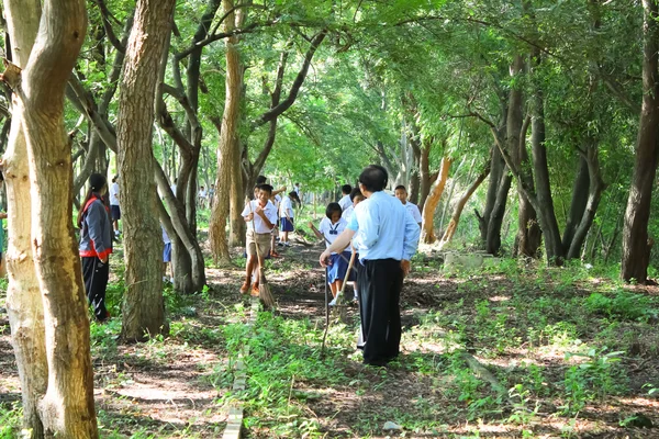 Mahasarakham, Thailand - 19 September: Lärare och elever tillsammans att rengöra parken på September 19,2014 i Mahasarakham, Thailand — Stockfoto