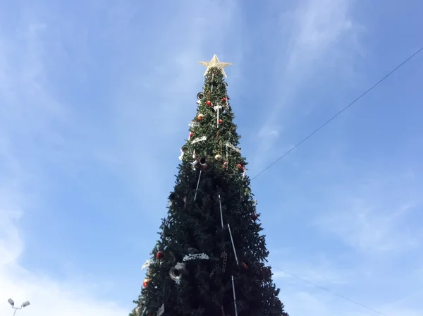 Mavi gökyüzü olan Noel ağacı