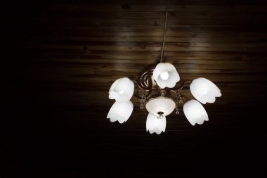 tavan ışık güzel şekli