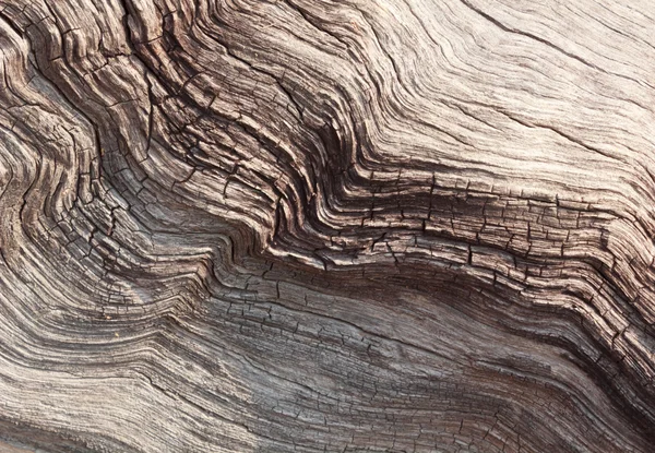 Wzór drewna próchnicy — Zdjęcie stockowe