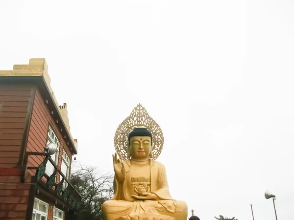 Estátua de Buda na ilha de Jeju Coreia do Sul — Fotografia de Stock