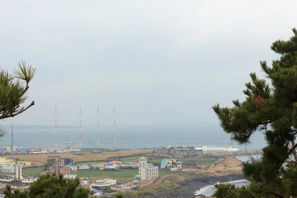 在济州岛韩国冬季景观 — 图库照片