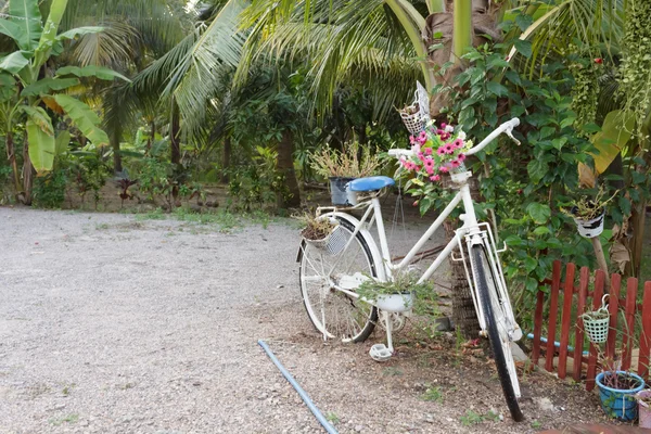 Велосипед украшен цветами — стоковое фото