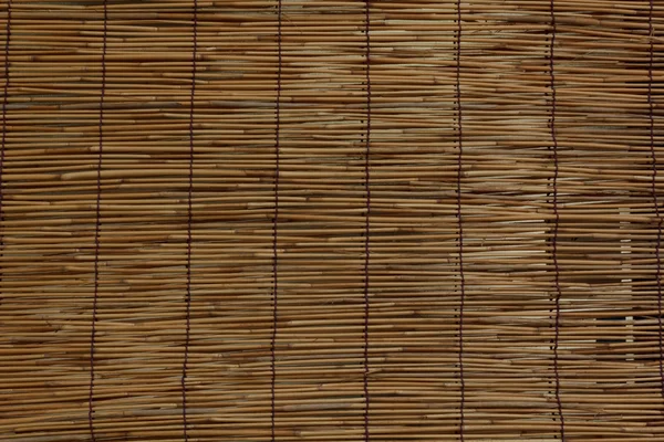 Rideau en bambou — Photo