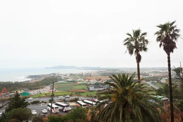 Winterlandschappen in eiland Jeju-Zuid-Korea — Stockfoto