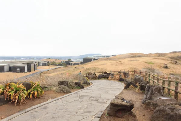 Pathway up the hill on Jeju Island South Korea — Stock Photo, Image