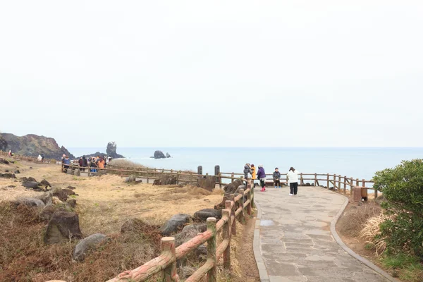 Cesta do kopce na ostrově Jeju Jižní Korea — Stock fotografie