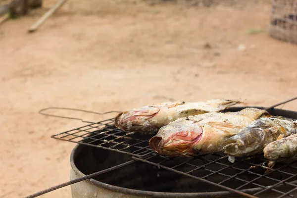 Grilled fish on the stove — Stock Photo, Image