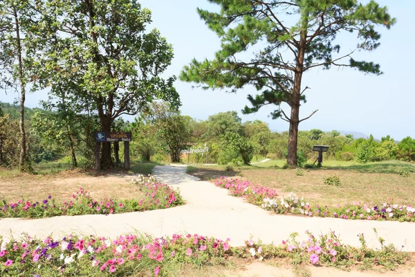 Walkway in the park — Stock Photo, Image