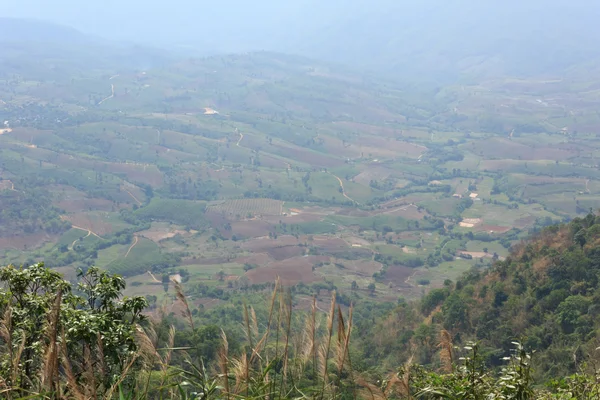 Landwirtschaftliche Fläche auf dem Berg — Stockfoto