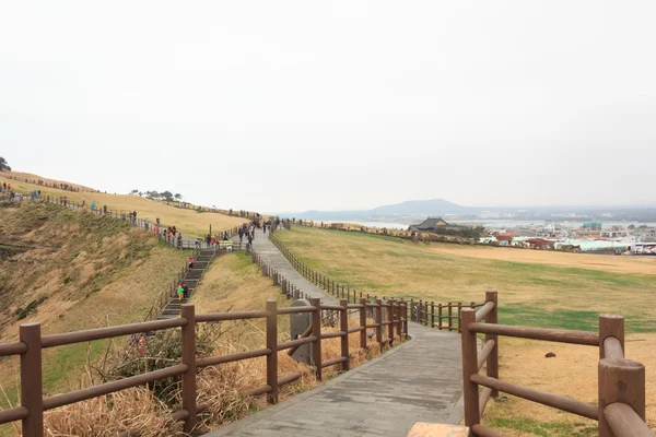 Paseo para hacer turismo en la isla de Jeju Corea del Sur — Foto de Stock