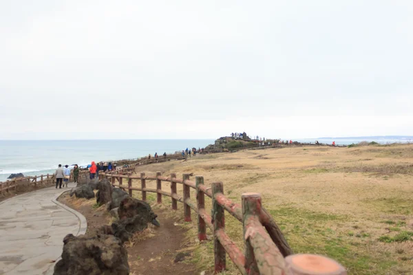 Loopbrug voor sightseeing op het eiland Jeju Zuid-Korea — Stockfoto