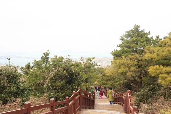 Walkway for sightseeing on the island of Jeju South Korea — Stock Photo, Image