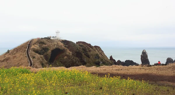 Paisajes de invierno en la isla de Jeju Corea del Sur —  Fotos de Stock