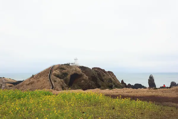 Peisaje de iarnă în Insula Jeju Coreea de Sud — Fotografie, imagine de stoc