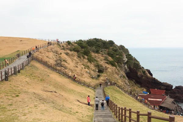 Spazierweg zur Besichtigung der Insel Jeju Südkorea — Stockfoto