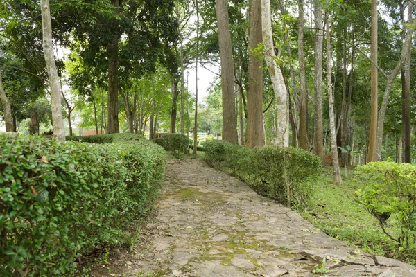 Passage im Park — Stockfoto