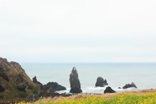 Zimní krajiny ve městě Ostrov Jeju — Stock fotografie