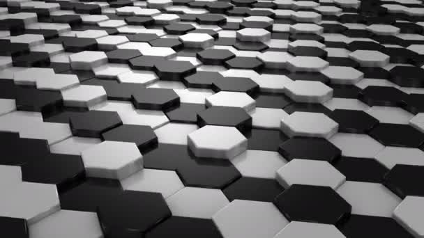 Background Formed From Moving Honeycombs — Stock Video