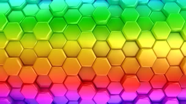 Nœuds d'abeilles colorés animés — Video